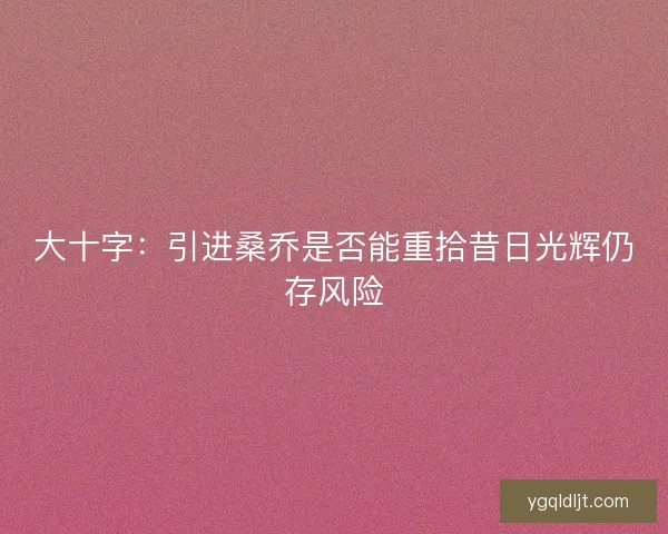 大十字:引进桑乔是否能重拾昔日光辉仍存风险 大十字:引进桑乔是否能重拾昔日光辉仍存风险