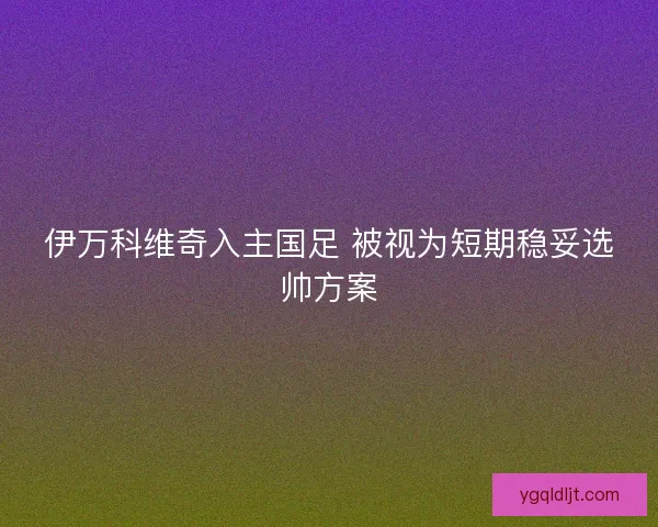 伊万科维奇入主国足 被视为短期稳妥选帅方案
