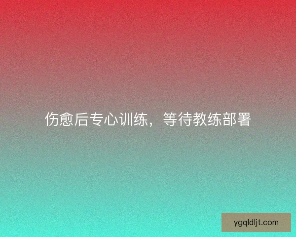 伤愈后专心训练，等待教练部署