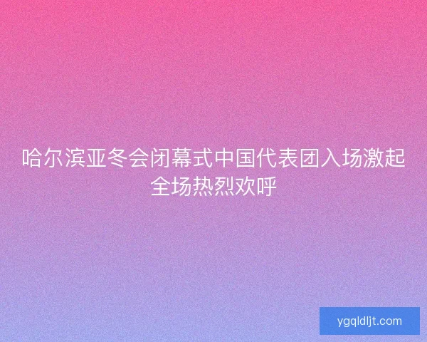 哈尔滨亚冬会闭幕式中国代表团入场激起全场热烈欢呼